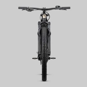Radon Jealous Hybrid 8.0 625 – Bild 8