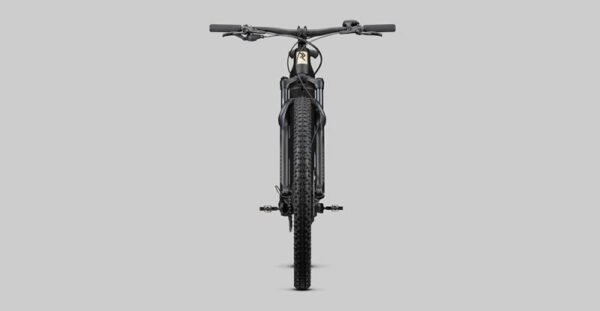 Radon Jealous Hybrid 8.0 625 – Bild 8
