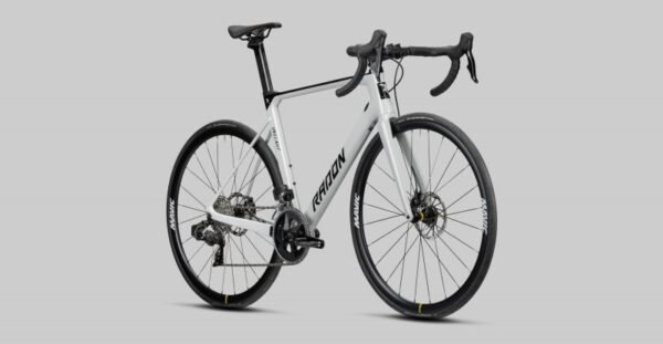 Radon Vaillant Disc 8.0 – Bild 5