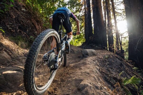 Santa Cruz Blur C S Trail – Bild 7