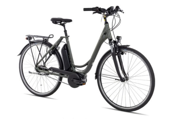 Raleigh Cardiff LB Plus R | 57 cm | techgreen matt | 28 Zoll – Bild 2